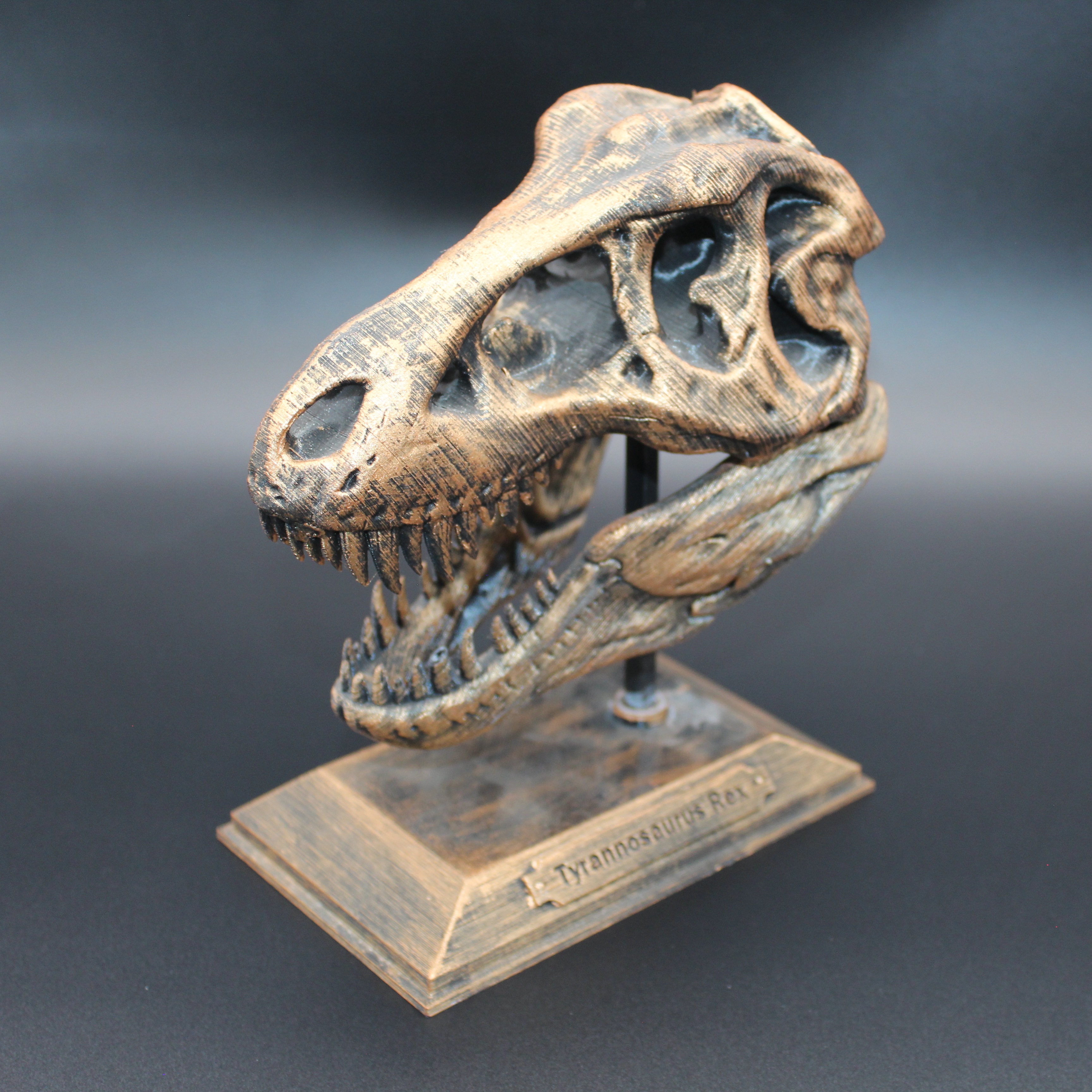 T-REX KAFATASI