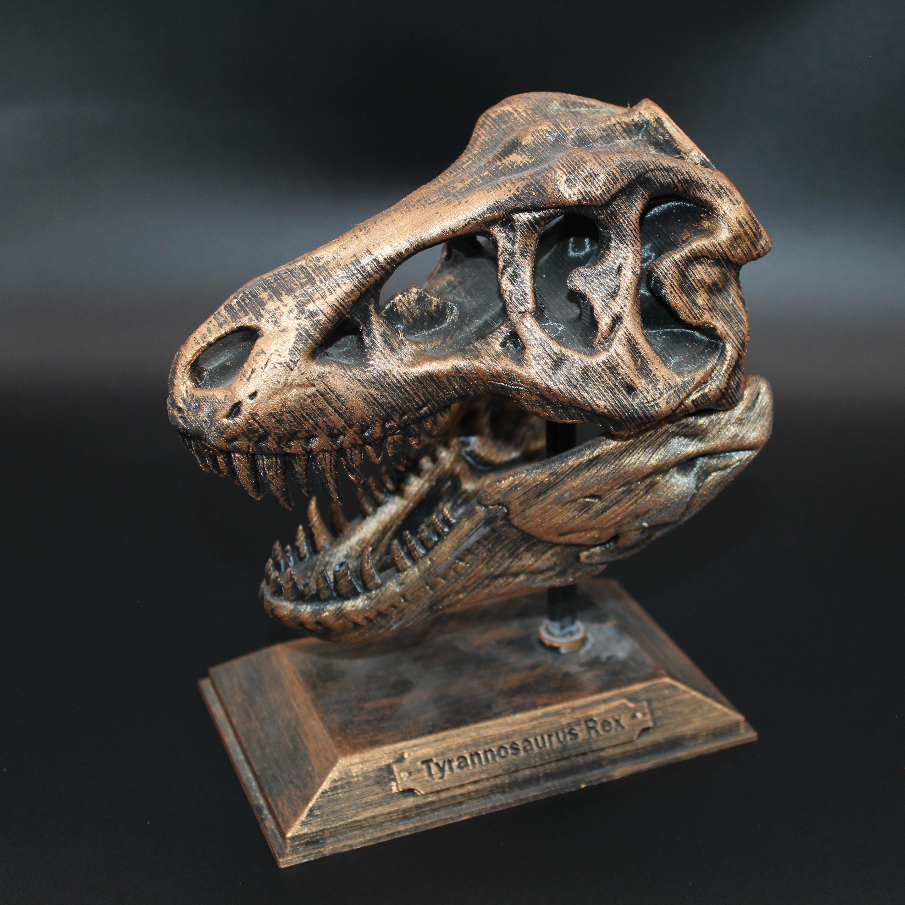 T-REX KAFATASI