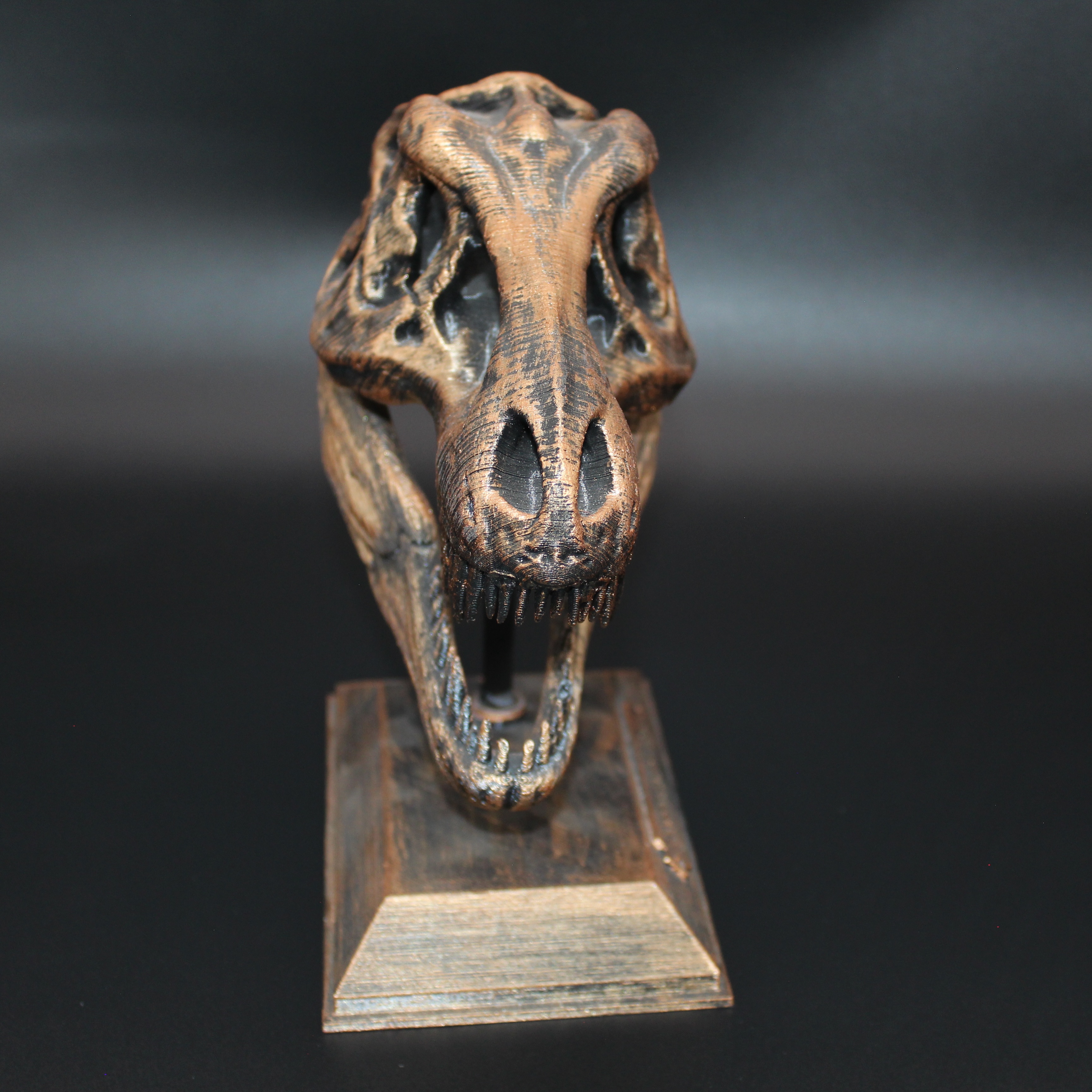 T-REX KAFATASI