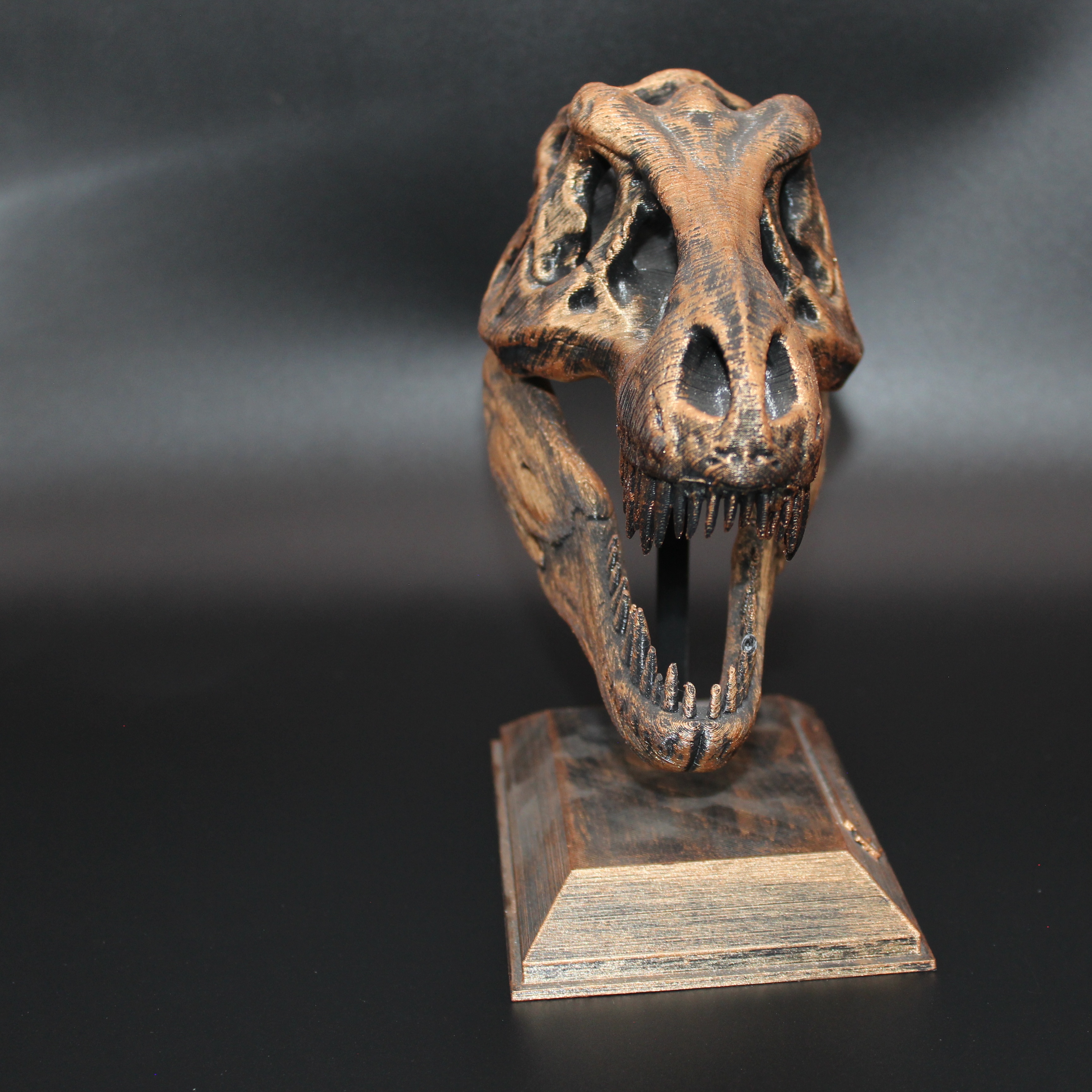 T-REX KAFATASI