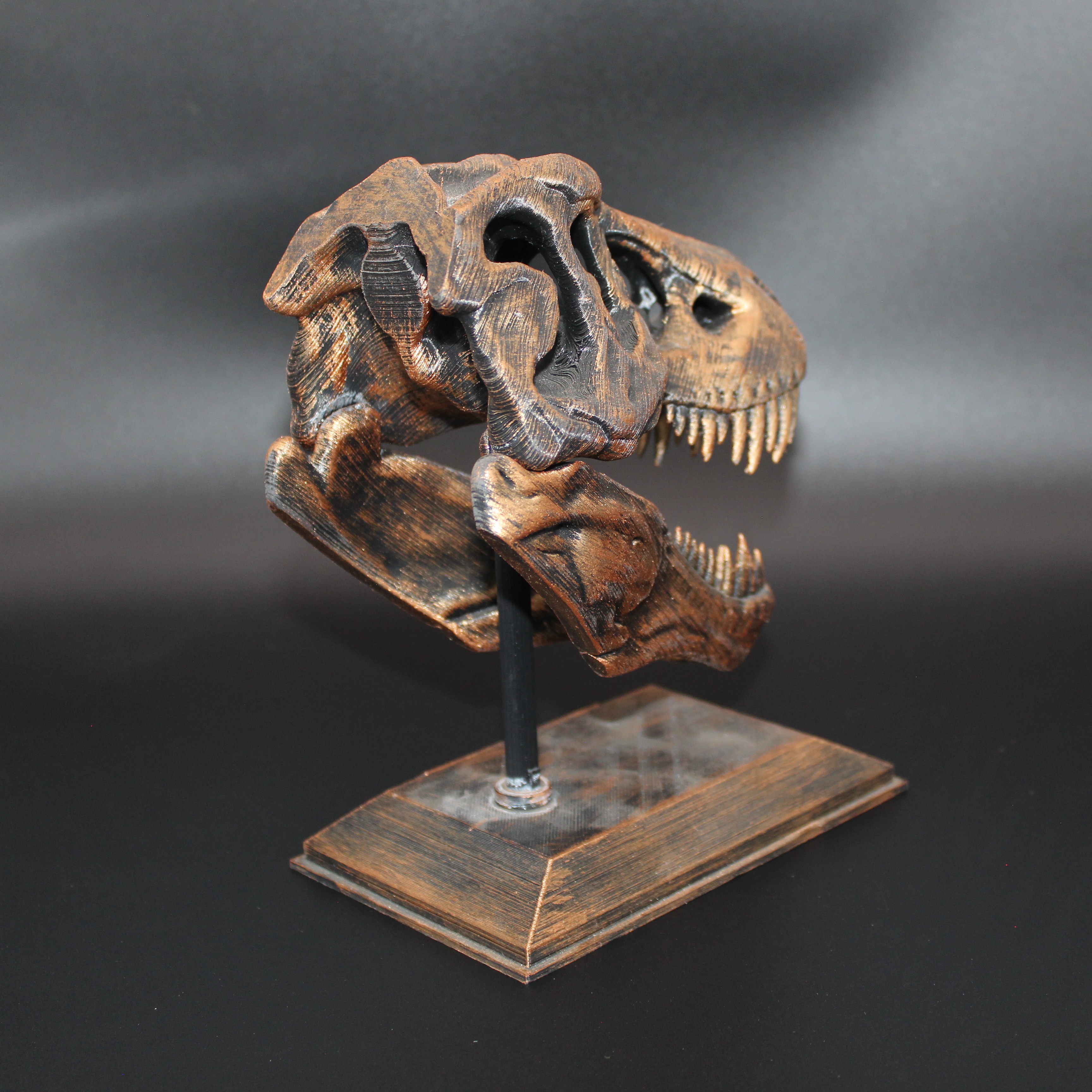 T-REX KAFATASI
