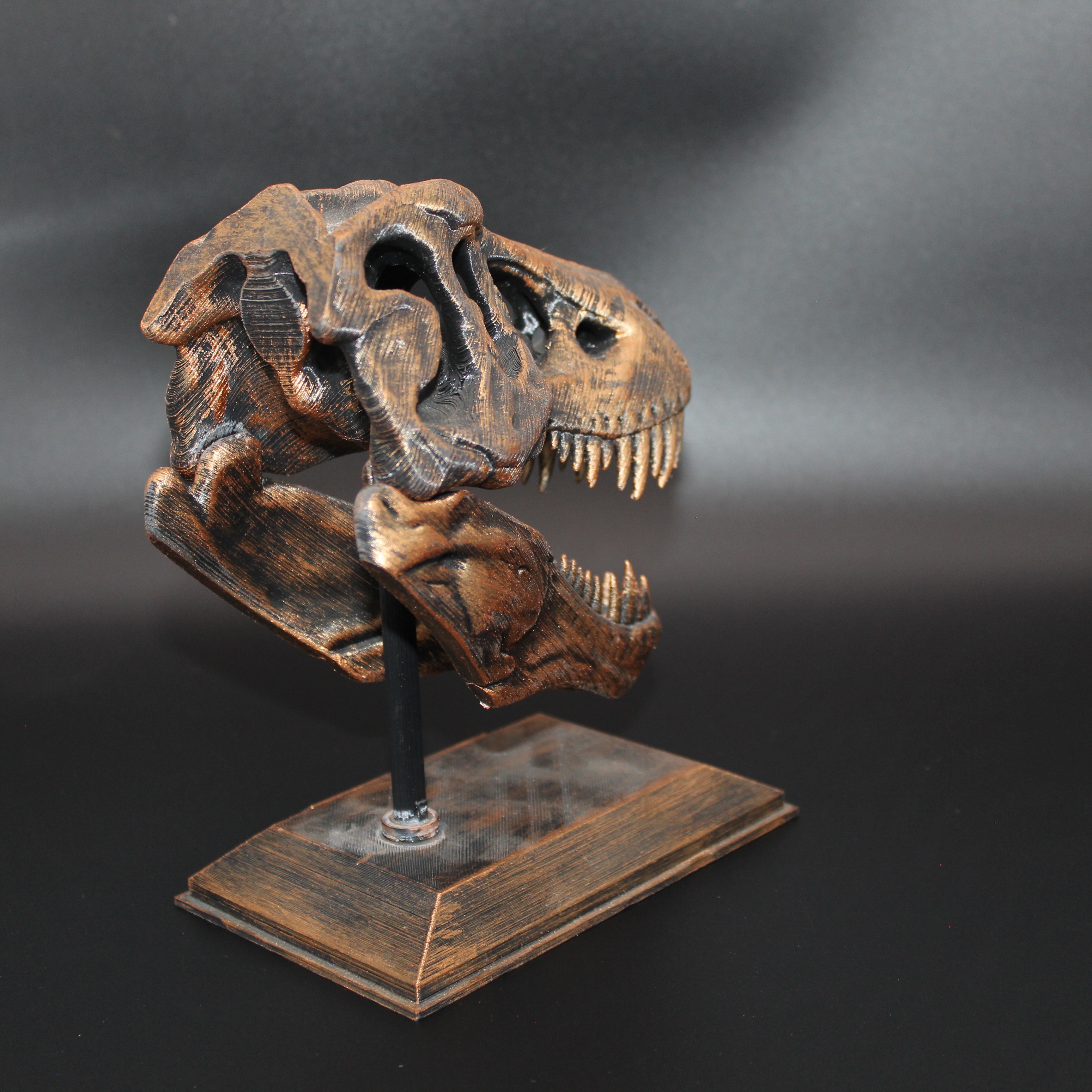 T-REX KAFATASI